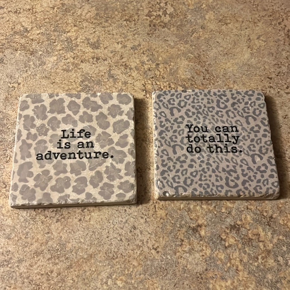 Altar’d State Ceramic Leopard Coasters